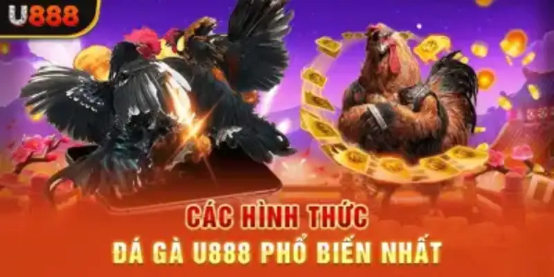 Các hình thức chọi hấp dẫn nhất trên nền tảng